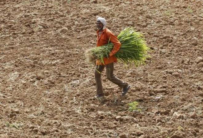 maharashtradeclaresdroughtin29000villages